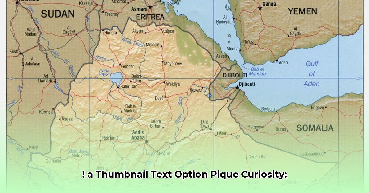 ethiopia-habtemariam-net-worth